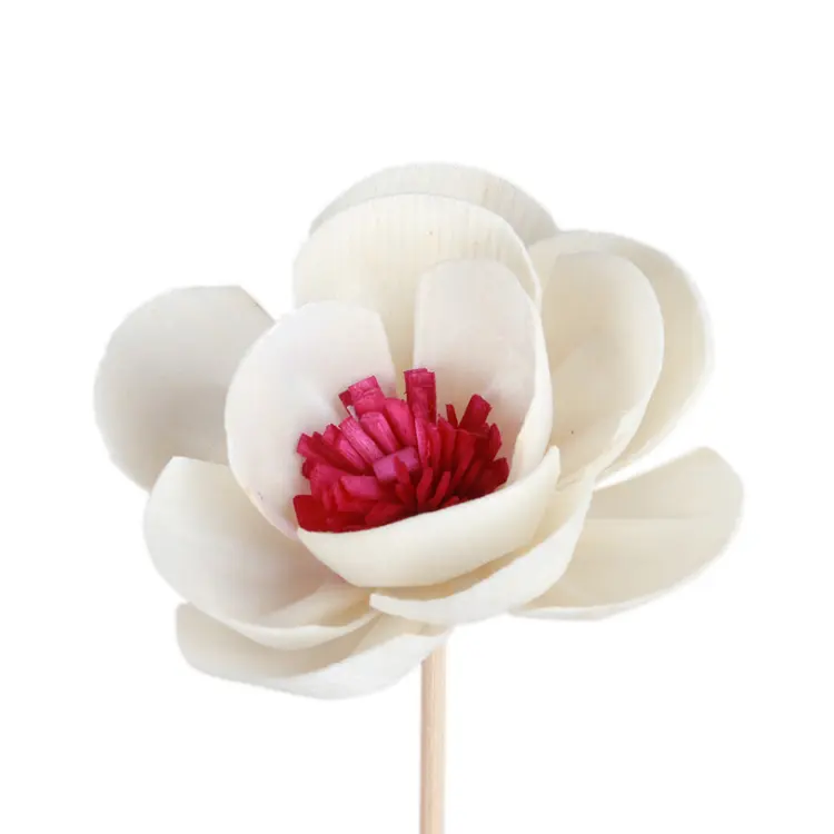 Bunga Bunga Aroma Aroma Diffuser Tangan Membuat Kering Bunga Lotus Rose Peony