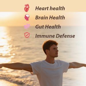 Cápsulas de Hongo Cola de Pavo - Suplemento para la Salud Digestiva y el Apoyo Inmunológico, Suplemento para la Salud, Vegano, Sin OMG, Sin Gluten, OEM ODM - Product Image 3