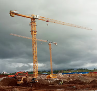 Mini-grue à tour de 3 tonnes, hauteur de levage de 30 m, machine de levage économique pour la construction et la rénovation de petits bâtiments résidentiels