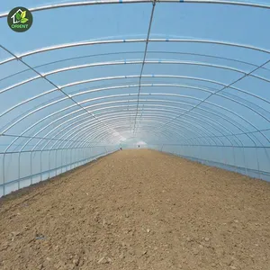 用于农业商业的pvc绿屋夹和草莓绿屋膜温室