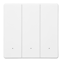 Interrupteur intelligent Wi-Fi ultra-fin 250V EU, interrupteur mural pour éclairage, utilisation de l'application Tuya, fonctionne avec Alexa, Google Home, commande vocale, OEM ODM Factory