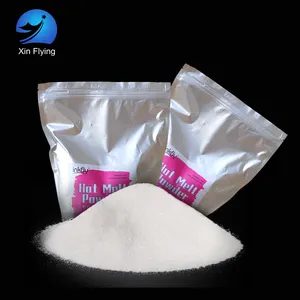 Shipment From Factory DIY Personalized Hot Sale Products DTF Hot Melt Powder