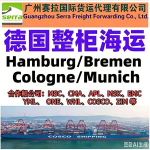 Fret maritime de Shenzhen vers le port de Sais et Alexandrie en Égypte, LCL Express, marchandises générales - Product Image 5