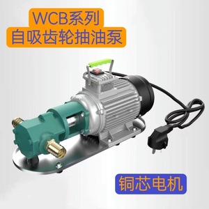 ปั๊มเกียร์ Wcb ขนาดเล็กแบบพกพา ทำจากสแตนเลส ทนความร้อนสูง สำหรับเครื่องยนต์ดีเซลและน้ำมันพืช - Product Image 5