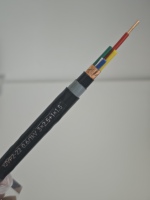 Câble blindé blindé pour alimentation de moteur VFD 0,6/1 kV XLPE avec écran en ruban de cuivre pour tranche de câbles