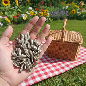 גרעיני חמניות מיובשים מיבול חדש # 361 # 363 # 2399 עבור רכיבי מזון - Product Image 3