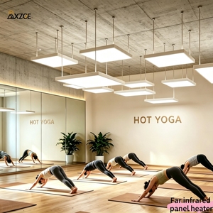 Panel de <span class=keywords><strong>Calefacción</strong></span> por <span class=keywords><strong>Infrarrojos</strong></span> Lejanos de 750W 800W 60*120cm para Montaje en Techo, Ideal para Estudios de Yoga, Pilates y Salas de Calor - Product Image 4