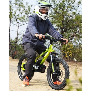 Bicicleta de equilibrio para niños personalizada de fábrica FXB 12 16 <span class=keywords><strong>20</strong></span> pulgadas bicicleta eléctrica con cuadro de aluminio para niños de 3 a 15 años - Product Image 1