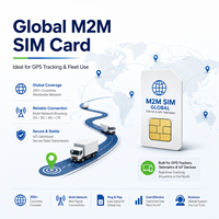 Tarjeta SIM Industrial 4G LTE 2G GSM para Rastreadores GPS, LBS, PC, Aplicaciones Remotas M2M, Paquete de Datos para Dispositivos IoT Exclusivo para Europa
