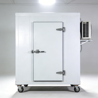 -25 ℃   Chambre froide pour le stockage de sacs de glace, congélateur solaire pour viande et poisson, chambre froide de type walk-in