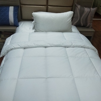 Ensemble de couette d'hôtel blanc en gros, literie de luxe, couette matelassée en microfibre lavable en machine, taille personnalisée
