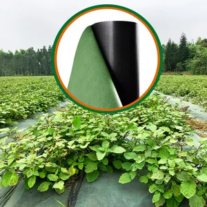 Trung quốc giá thấp chuyên nghiệp 3.3ft x 246ft 1m x 75m thân thiện với môi nông nghiệp Weed kiểm soát vải mat