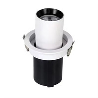 Projecteur rétractable personnalisable à 360 degrés, 20 W, projecteur tubulaire rétractable pour plafond
