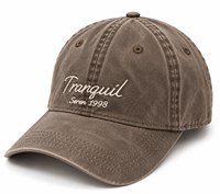 Gewassen katoenen 6-delige vintage baseballcap met geborduurde luipaardprint, zonnebescherming, casual outdoor pet, unisex