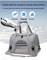 Fournitures pour animaux de compagnie sac de voyage en tissu pliable Portable respirant chat fourre-tout chiens chats petits animaux oiseaux pliable transporteur maison