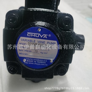 Cabezal de Bomba Hidráulica Doble Neat TCVVP-F3030-A4-186*24 con Eje de Flujo Variable para Sistemas Hidráulicos - Product Image 2