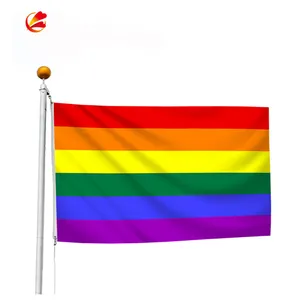 Bendera Pelangi Poliester 3X5 Kebanggaan Gay Bendera LGBT Lesbian