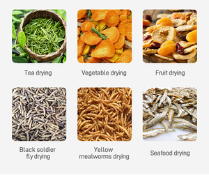 เครื่องอบตัวอ่อนแมลงวันสีดำเตาอบไมโครเวฟอุตสาหกรรมสำหรับทำอาหาร20KW อย่างต่อเนื่องพร้อมส่วนประกอบเครื่องยนต์หลัก - Product Image 2