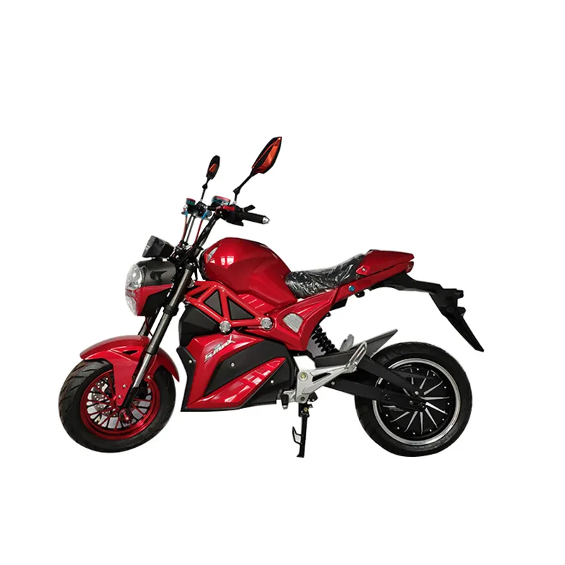 Motos Điện Như Người Lớn Sơn Động Cơ Điện Kép Ete Điện 3000W