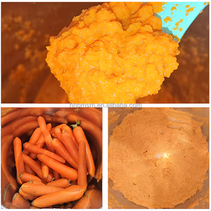 Broyeur et mixeur électrique pour fruits (pommes, choy sum, avocats, <span class=keywords><strong>cassis</strong></span>, tomates, baies <span class=keywords><strong>de</strong></span> laurier) pour la fabrication <span class=keywords><strong>de</strong></span> confitures - Product Image 3