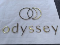 Enseigne en titane brossé électroplaqué, fabrication fine et de précision, enseigne personnalisée de haute qualité pour les devantures de magasins commerciaux