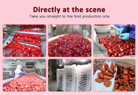 Gedroogde aardbeien in bulk, natuurlijk gezoet, voor bakkerij & yoghurt topping, halal gecertificeerd, OEM beschikbaar