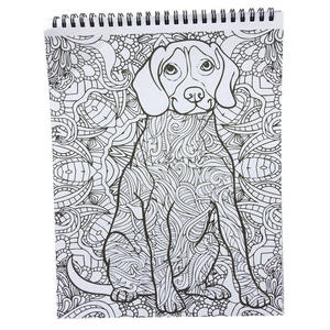 สมุดระบายสีเด็กคุณภาพสูงราคาส่ง สมุดวาดเขียนสำหรับเด็ก - Product Image 5