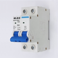 Disjoncteur solaire bipolaire 63A 100A 125A MCB pour batterie 48V, disjoncteur unipolaire CC 250V 500V 1000V MCB