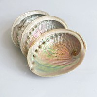 T-255 en gros 10-12 cm coquilles d'ormeau de conque naturelle pour brûler conteneur créatif décoration de la maison articles et ornements