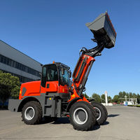 Chargeuse sur pneus télescopique RG2500 de fabrication chinoise, capacité nominale de 2,2 tonnes, moteur diesel, chargeuse articulée pour travaux agricoles et de construction