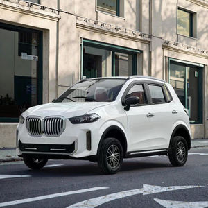 Système de direction gauche-droite personnalisable, nouvelle conception, véhicule familial pour adultes Falcon <span class=keywords><strong>Taxi</strong></span> à faible vitesse, 3500W, fabricant direct - Product Image 6