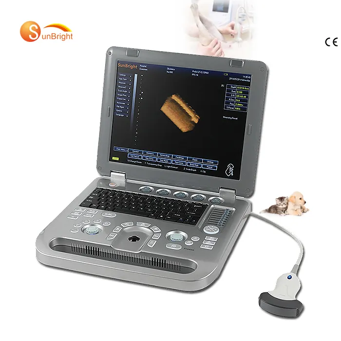 Hot Selling 3d Echografie Systeem Usg Apparatuur Veterinaire Draagbare Echografie Scanner
