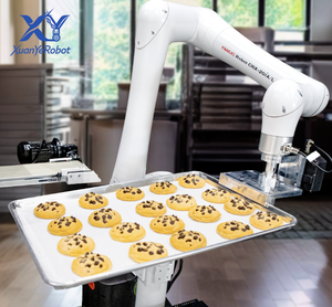 Robot collaboratif <span class=keywords><strong>FANUC</strong></span> <span class=keywords><strong>CRX</strong></span> Series à 6 axes, vente chaude OEM, pour la manipulation, le prélèvement et l'automatisation de l'assemblage - Product Image 6