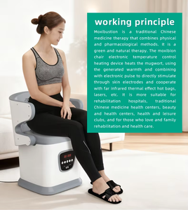 เก้าอี้รมยาไร้ควันอเนกประสงค์ พับได้ พร้อมพนักพิงและระบบนวดเท้าไฟฟ้า - Product Image 1