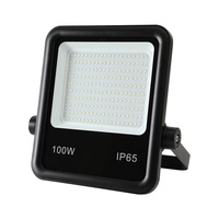 DC 12V 24V AC 100-277V IP65 Réflecteur Projecteur Lampe 30W 50w 100w 150w 200w 300w 400w 500w Projecteur Led Extérieur