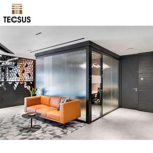 Pareti Divisorie in Vetro Satinato di Qualità per Uffici, Separatori Commerciali per Ambienti - Product Image 2