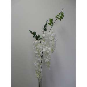 GLICINE SPRAY X3 90CM WH - Product Image 1