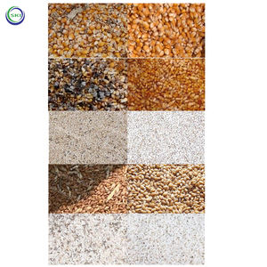 Máy Chọn Hạt Máy Hủy Hạt Đậu Nành Máy Làm Sạch Và Đánh Bóng Lúa Mì Mini Cho Ngô Và Gạo - Product Image 6