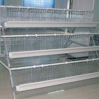 Cage à volailles de type A, 96 oiseaux, 3 niveaux, pour ferme avicole