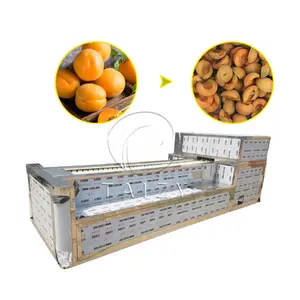 Automatic apricot pitting stone removing machine peach plum avocado stoning seed remove pitter stoner price for sale