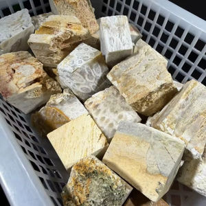 Coral Fósil Natural de Alta Calidad al por Mayor, Piedra de Jade Coral en Bruto para Decoración y Colección, Regalo para Amantes de los Minerales - Product Image 6