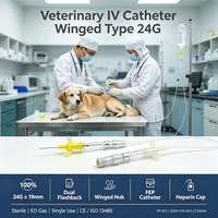 Cathéter IV pour prélèvement sanguin animal, type stylo