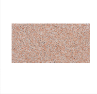 Carreaux de porcelaine antidérapants 60x30 18mm pour extérieur, résistants à l'usure, isolants thermiquement, résistants aux acides, pour parkings et jardins extérieurs