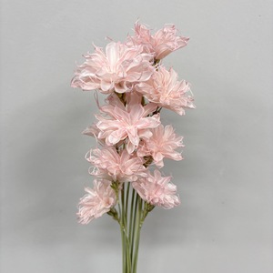Bouquet di Cereus Notturno Essiccato e Conservato Fatto a Mano, 10 Pezzi/Bundle, per Esposizione in Casa e Vetrine - Product Image 6
