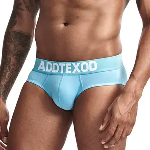 Briefs Sexy Gay Men Underwear Transparent Sexy Underwear Boxer Briefs With Logo Men's Brief Modal