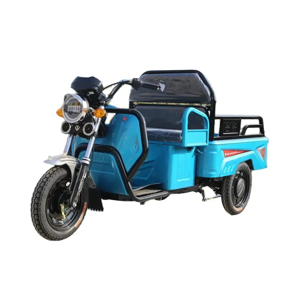 600W/800W/1000W üç tekerlekli bisiklet yetişkin elektrikli kargo bisikleti Trikes