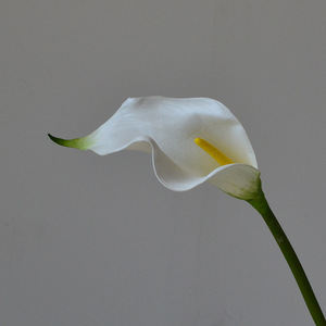 Flores Artificiales al por Mayor, Cala de EVA con Tacto Realista para Arreglos Florales de Mesa, Decoración del Hogar y Sala de Estar - Product Image 6