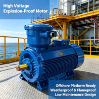 Motor Anti Ledakan 6KV 10KV Rumah Besi Cor Kelas F Isolasi Tahan Suhu Rendah Motor Anti Ledakan Tegangan Tinggi
