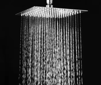 Pomme de douche de pluie en acier inoxydable brossé, finition de luxe pour salle de bain, plafond, écologique, économie d'eau