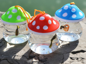 Boîte à bijoux moderne en plastique écologique pour <span class=keywords><strong>tortue</strong></span> et aquarium - Product Image 6